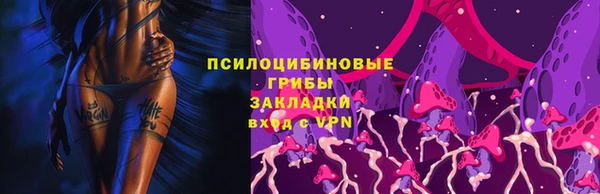 МДПВ Покровск